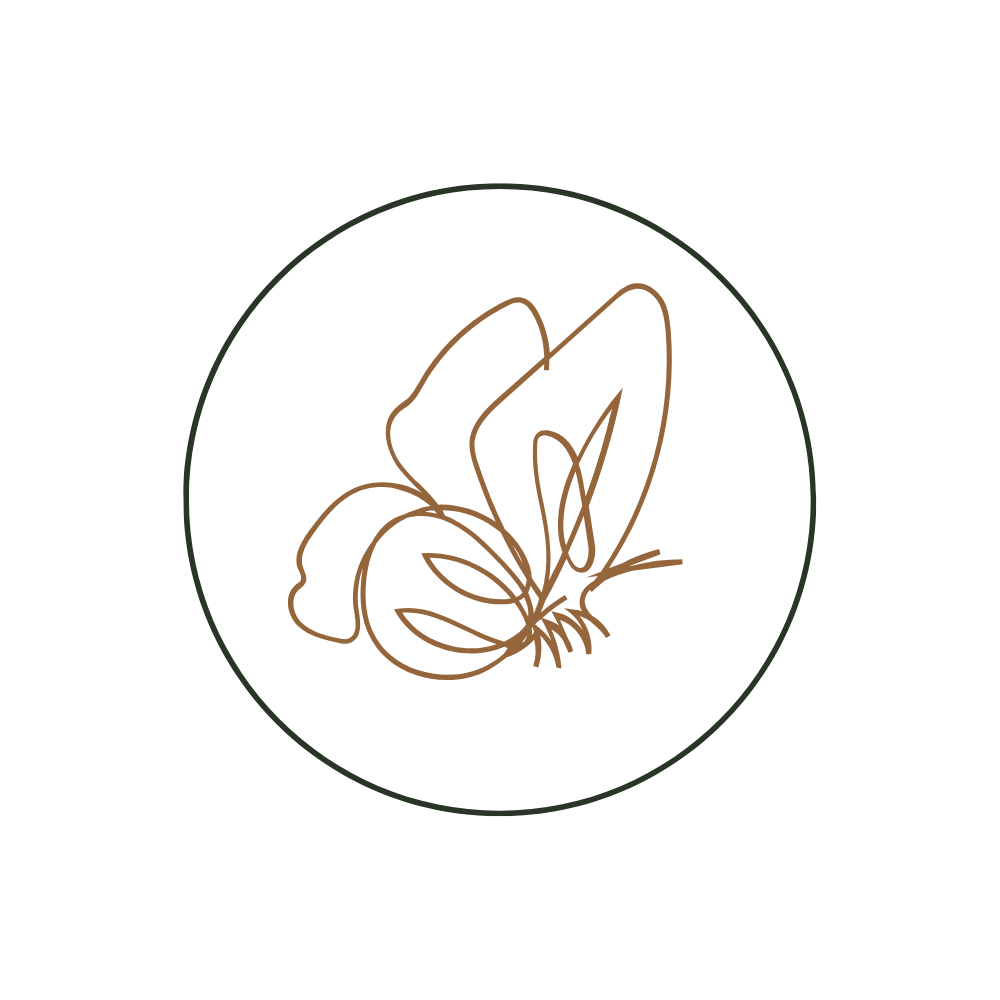 butterfly in a circle